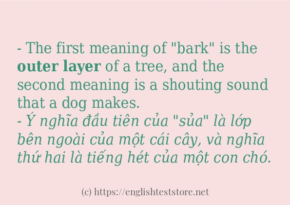 outer layer cách sử dụng trong câu và ví dụ