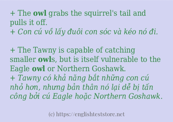 owl câu ví dụ và cách sử dụng owl câu ví dụ và cách sử dụng