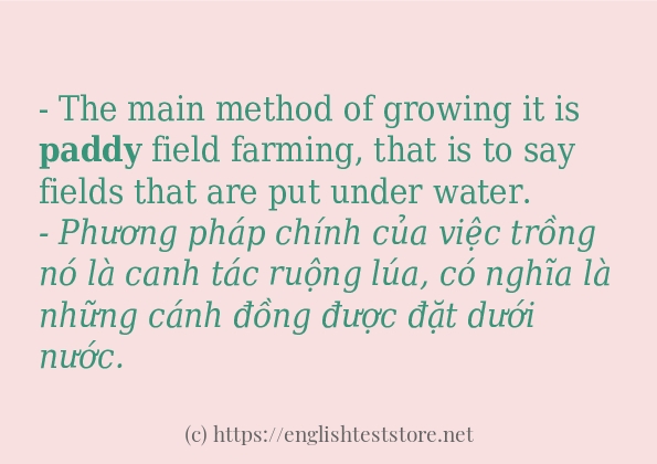 paddy sử dụng như thế nào?