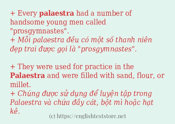 palaestra dùng như thế nào?