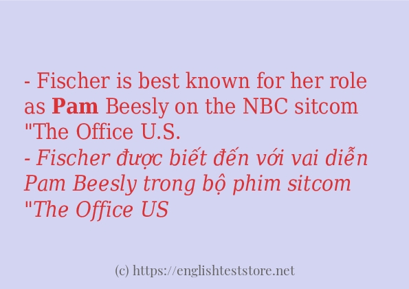 pam có bao nhiêu cách dùng?