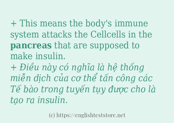 pancreas có bao nhiêu cách sử dụng?