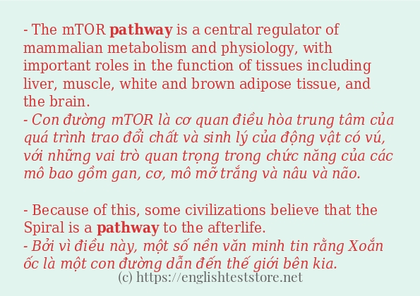 pathway câu ví dụ về cách dùng