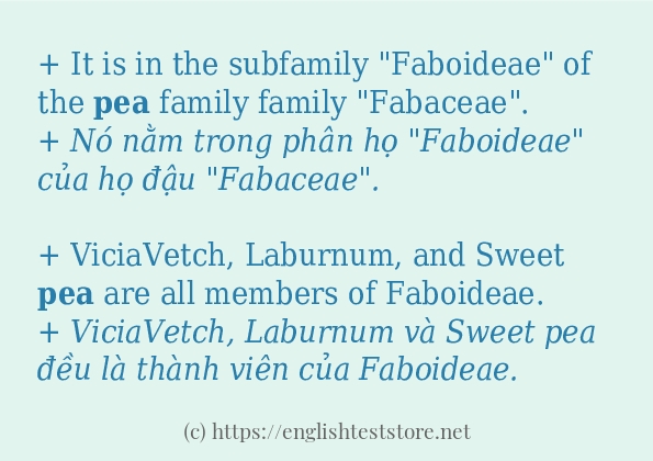 pea ví dụ và cách sử dụng trong câu