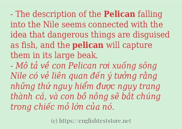 pelican câu ví dụ về cách dùng