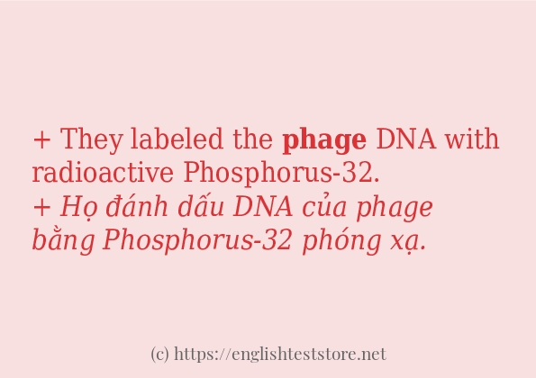 phage áp dụng trong câu và ví dụ