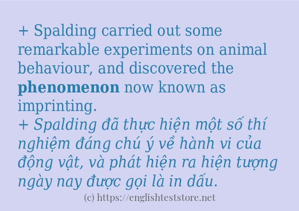 phenomenon ví dụ và cách sử dụng trong câu phenomenon ví dụ và cách sử dụng trong câu