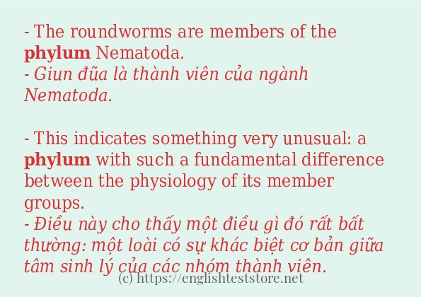 phylum có bao nhiêu cách dùng?