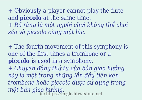 piccolo cách dùng và ví dụ trong câu
