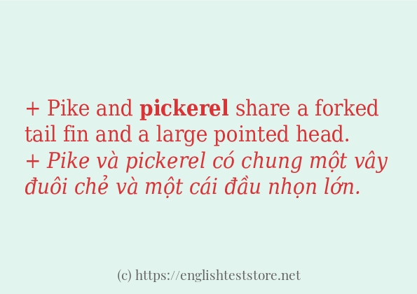 pickerel áp dụng trong câu và ví dụ