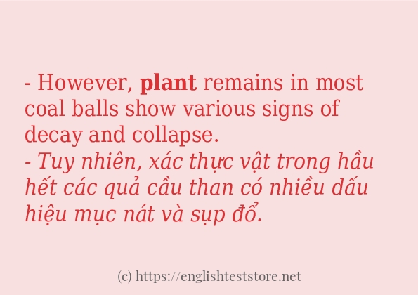plant cách dùng và câu ví dụ