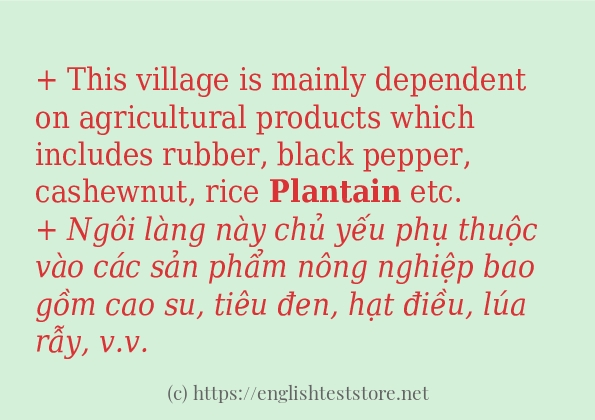 plantain dùng như thế nào?