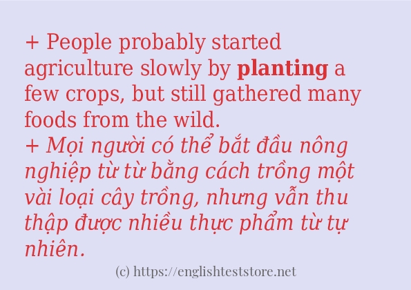 planting cách dùng trong câu và ví dụ