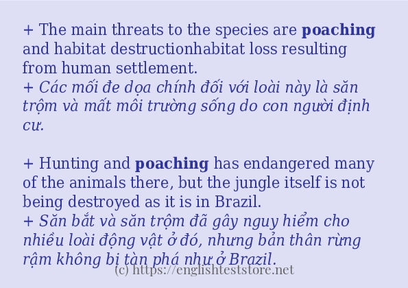 poaching sử dụng như thế nào và câu ví dụ