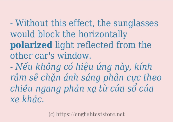 polarized sử dụng như thế nào và câu ví dụ polarized sử dụng như thế nào và câu ví dụ