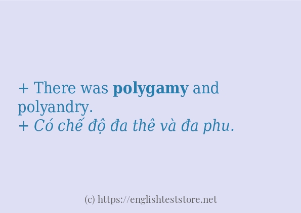 polygamy sử dụng như thế nào? polygamy sử dụng như thế nào?