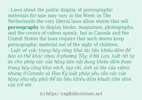 pornography các cách dùng và câu ví dụ