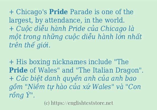 pride ví dụ và cách sử dụng trong câu