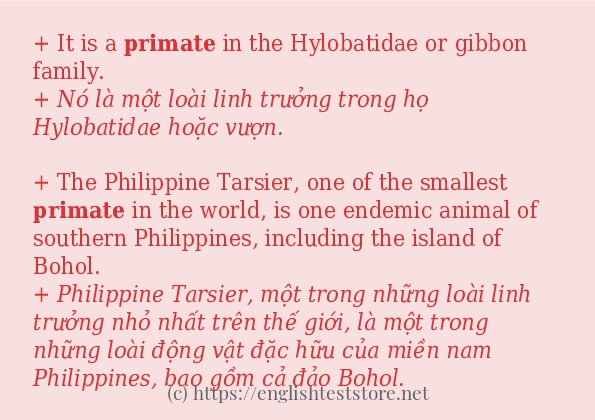 primate cách dùng và câu ví dụ primate cách dùng và câu ví dụ