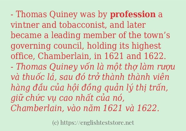profession cách dùng trong câu và ví dụ