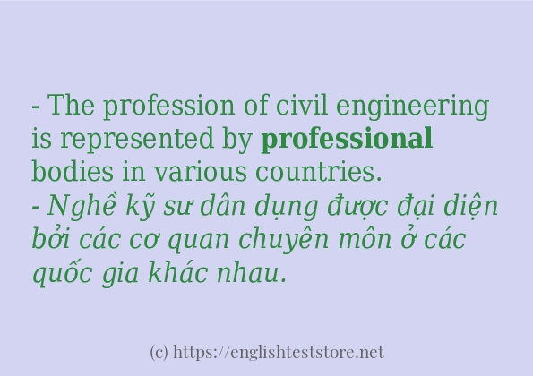 professional các cách dùng và câu ví dụ