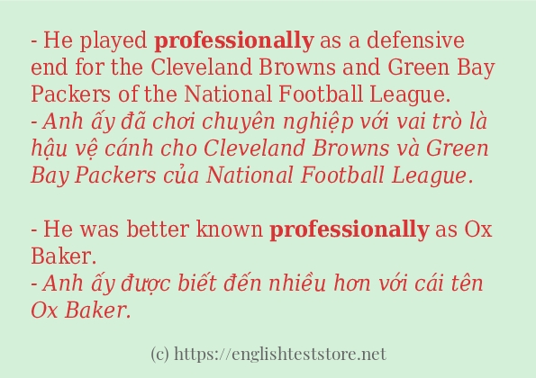 professionally cách dùng và ví dụ trong câu