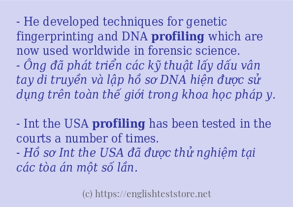 profiling cách sử dụng trong câu và ví dụ