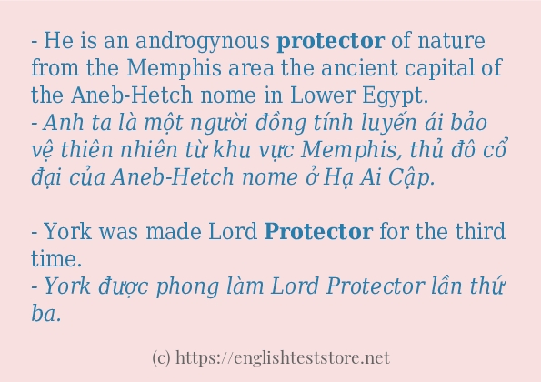 protector có bao nhiêu cách dùng?