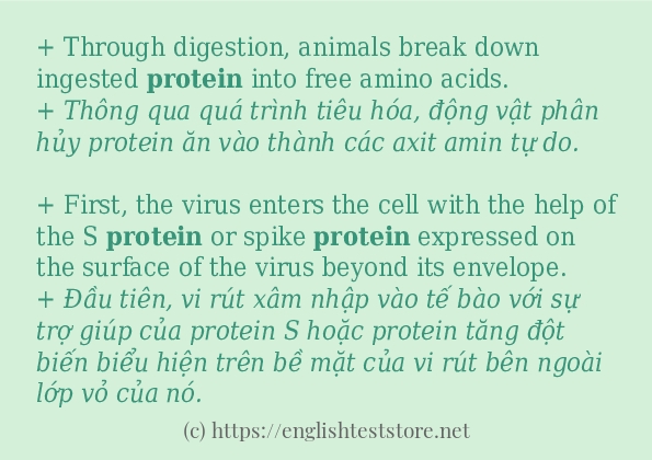 protein cách sử dụng trong câu và ví dụ protein cách sử dụng trong câu và ví dụ