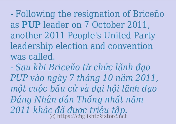 pup cách dùng và ví dụ trong câu