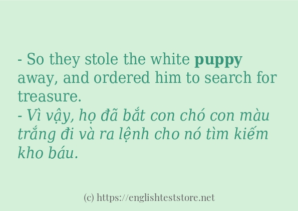 puppy sử dụng như thế nào?