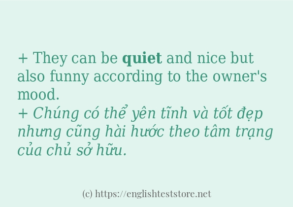quiet dùng như thế nào?