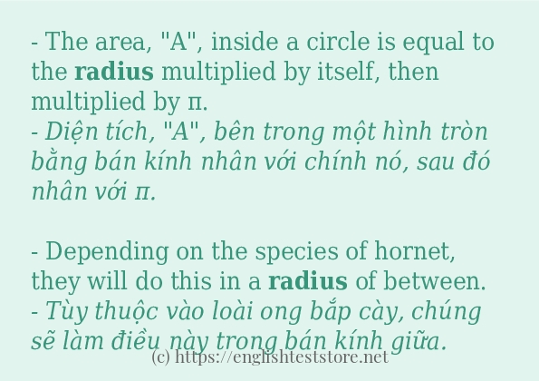 radius cách dùng và câu ví dụ