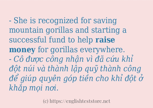 raise money có bao nhiêu cách dùng?
