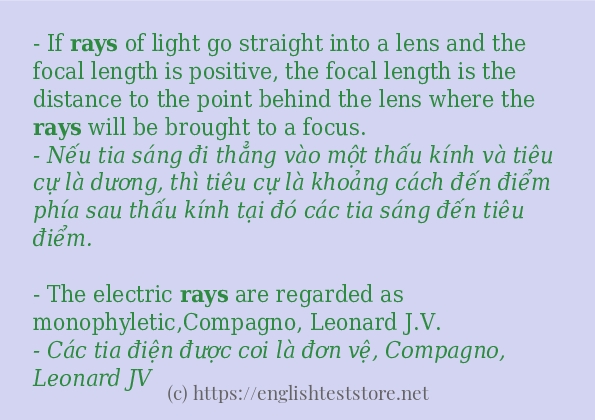 rays có bao nhiêu cách dùng?