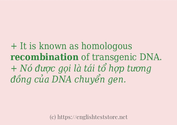 recombination sử dụng như thế nào và câu ví dụ recombination sử dụng như thế nào và câu ví dụ