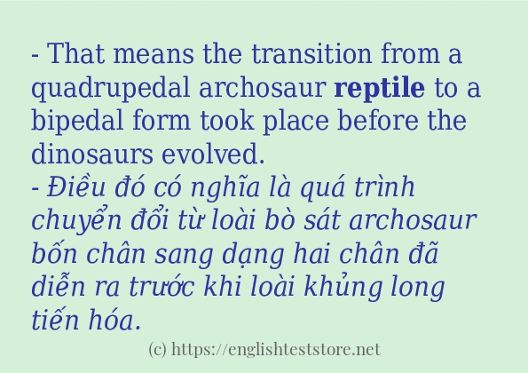 reptile có bao nhiêu cách sử dụng? reptile có bao nhiêu cách sử dụng?