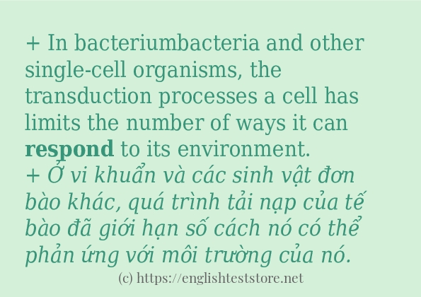 respond ví dụ và cách sử dụng trong câu
