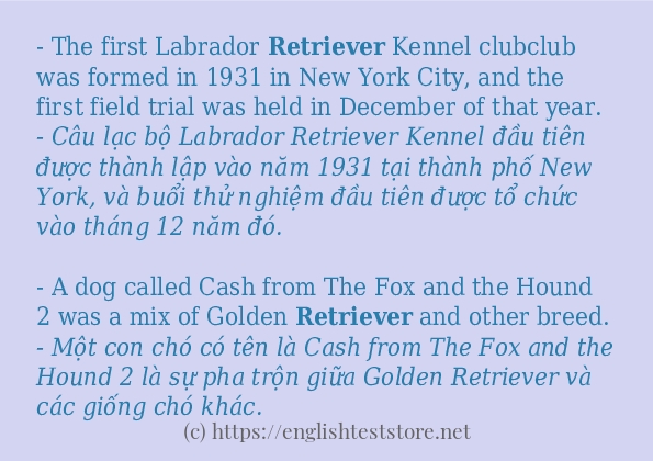 retriever có bao nhiêu cách dùng?