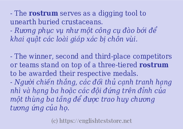 rostrum sử dụng thực tế trong câu