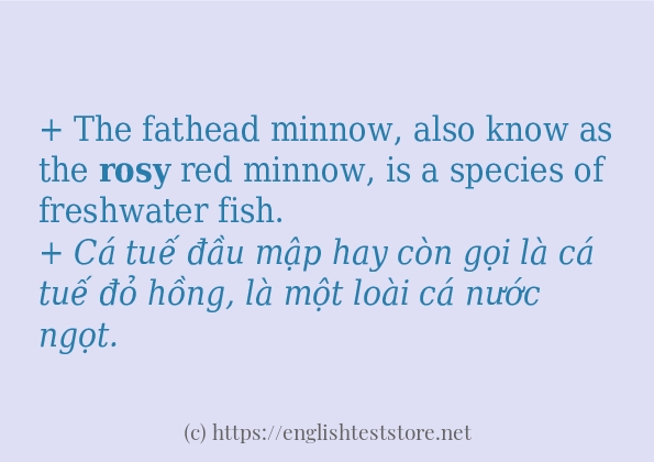 rosy có bao nhiêu cách sử dụng? rosy có bao nhiêu cách sử dụng?