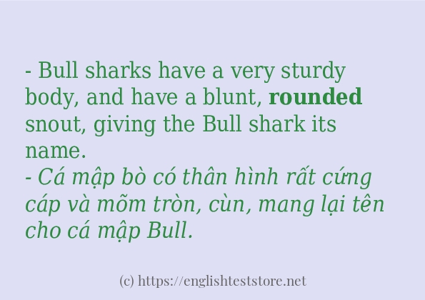 rounded ví dụ và cách sử dụng trong câu