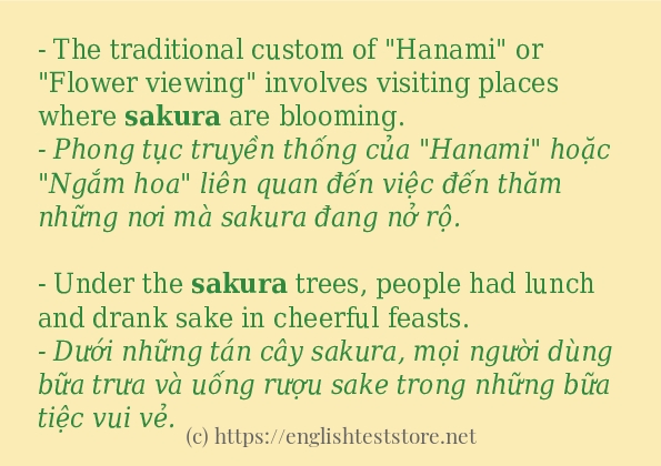 sakura sử dụng thực tế trong câu