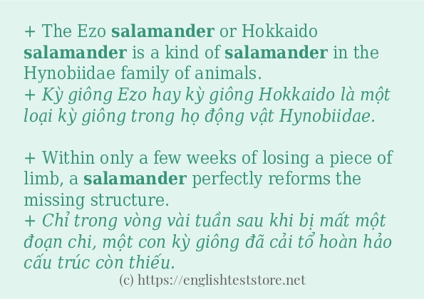 salamander cách sử dụng và câu ví dụ salamander cách sử dụng và câu ví dụ