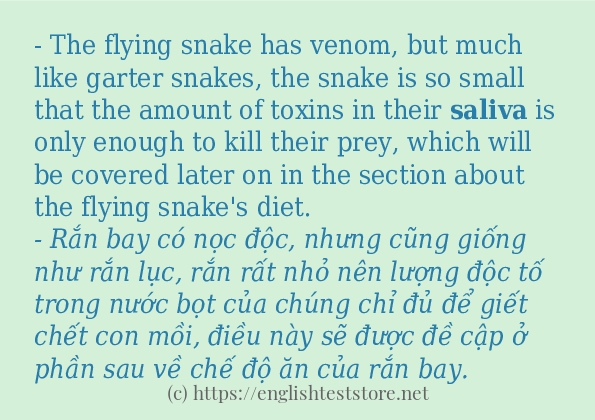 saliva dùng như thế nào?