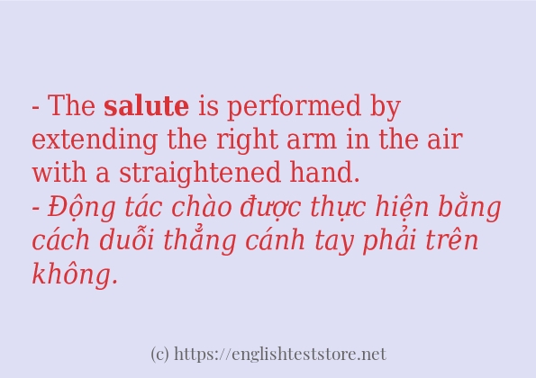 salute cách dùng trong câu và ví dụ