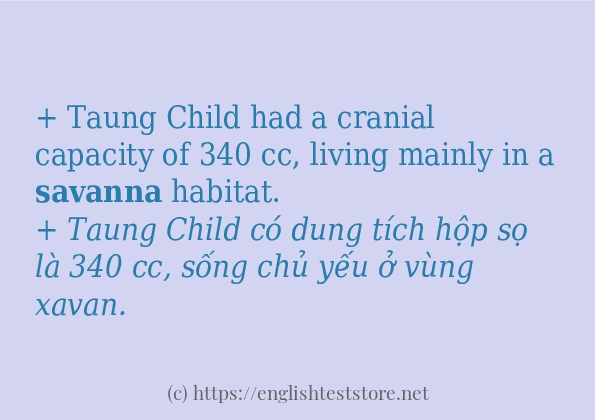 savanna cách dùng và ví dụ trong câu