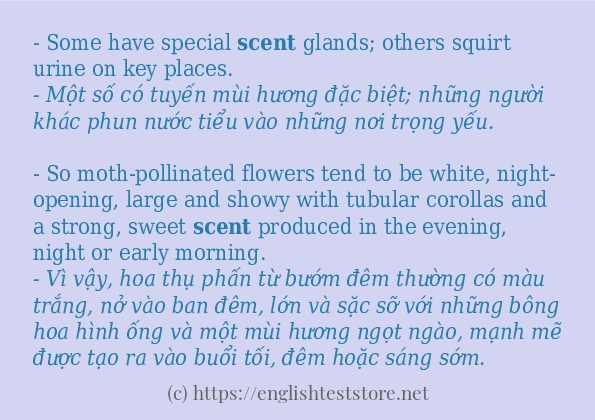 scent câu ví dụ và cách dùng