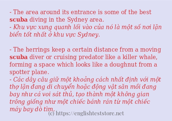 scuba cách sử dụng trong câu và ví dụ