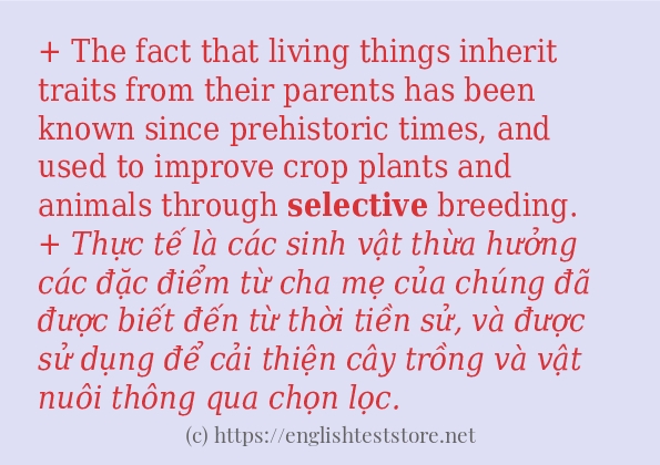 selective câu ví dụ và cách dùng selective câu ví dụ và cách dùng